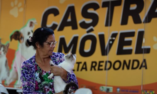 Castramóvel VR inicia cadastro para animais do Siderópolis e Casa de Pedra nesta terça-feira